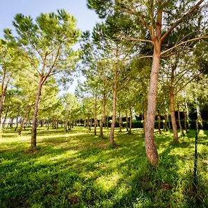 https://agriturismo-bio-san-mamiliano.it-tuscanyhotel.com